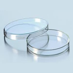 Petri Dish, Soda-Lime Glass, Lid Diameter 40 Mm,